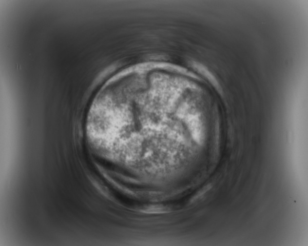 X0000086290059200704201931