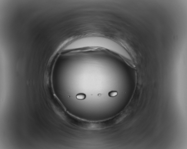 X0000086290060200704201931