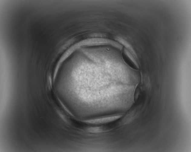 X0000086290061200704201931