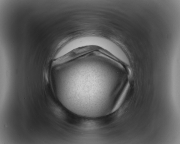 X0000086290062200704201931