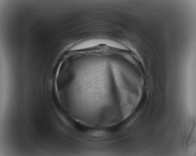 X0000086290063200704201931