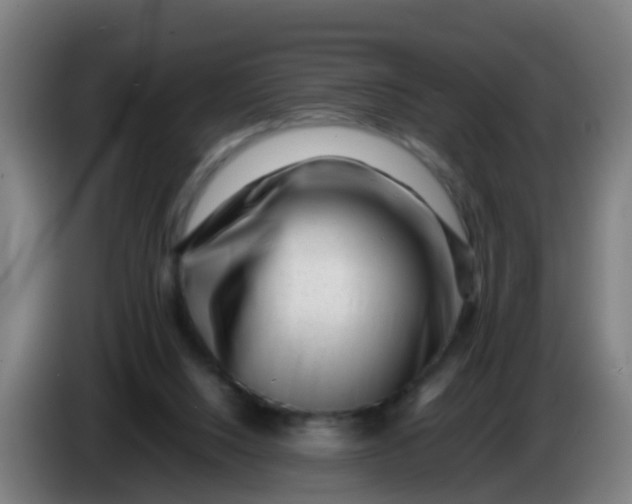 X0000086290064200704201931