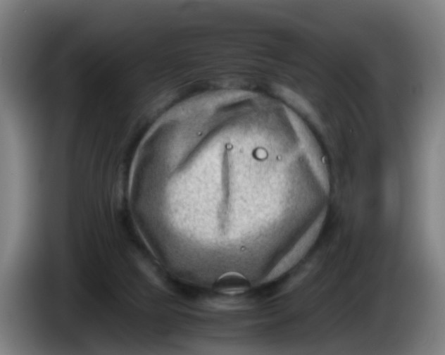 X0000086290065200704201931