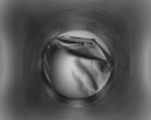 X0000086290066200704201931