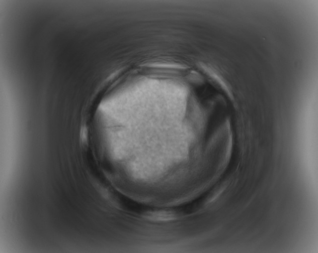 X0000086290067200704201931