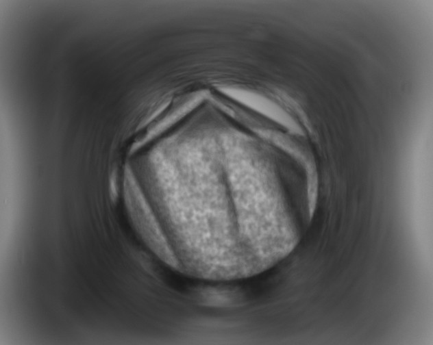 X0000086290069200704201931