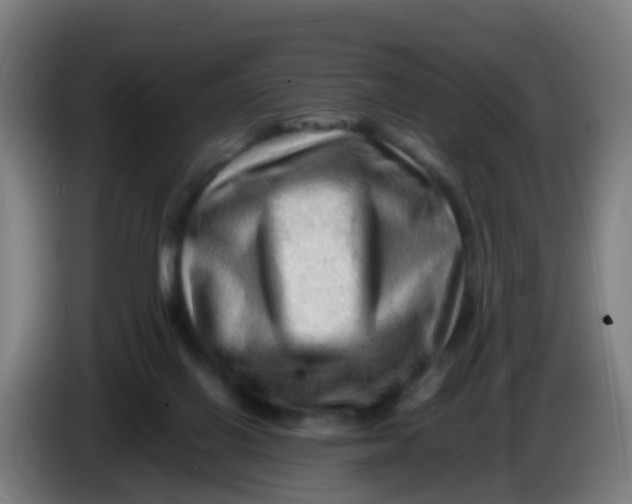 X0000086290070200704201931