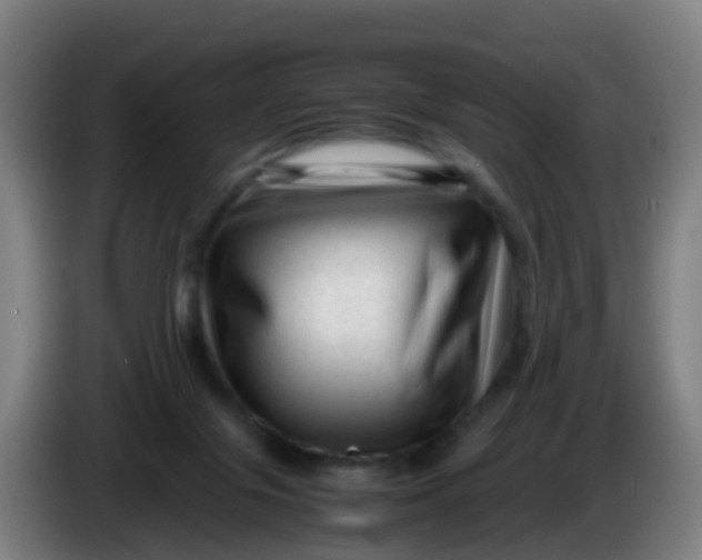 X0000086290071200704201931