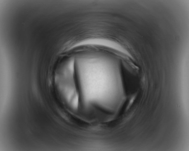 X0000086290072200704201931