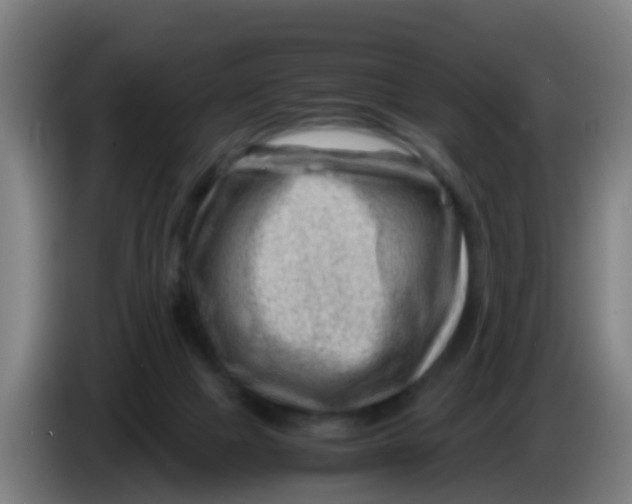 X0000086290073200704201931