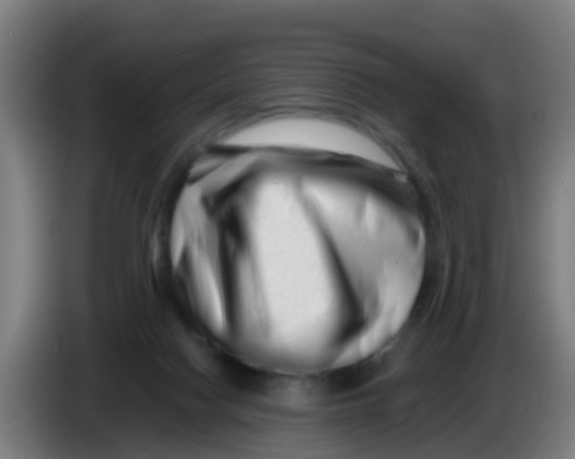 X0000086290074200704201931