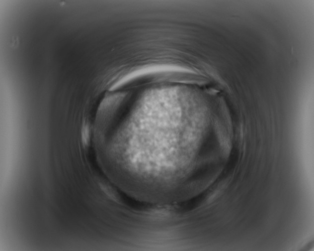 X0000086290076200704201931