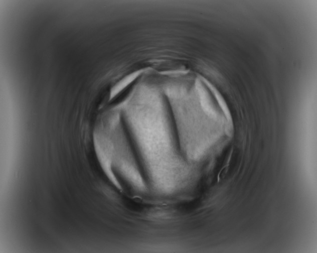 X0000086290077200704201931