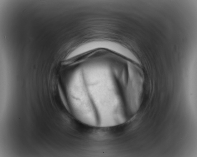 X0000086290078200704201931