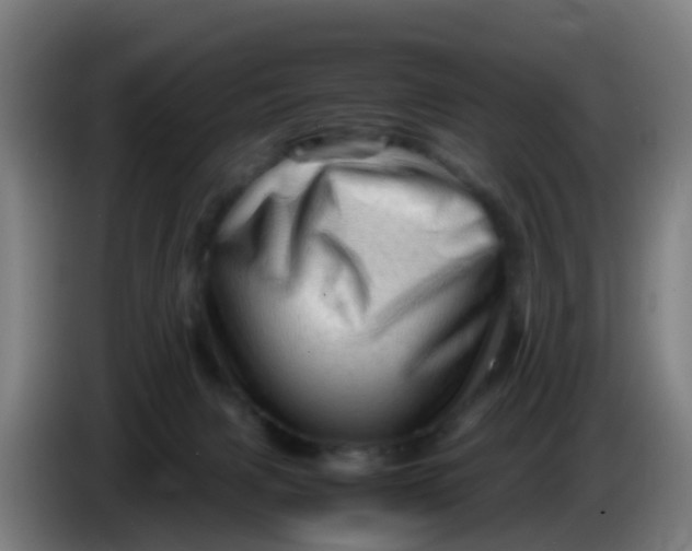 X0000086290079200704201931