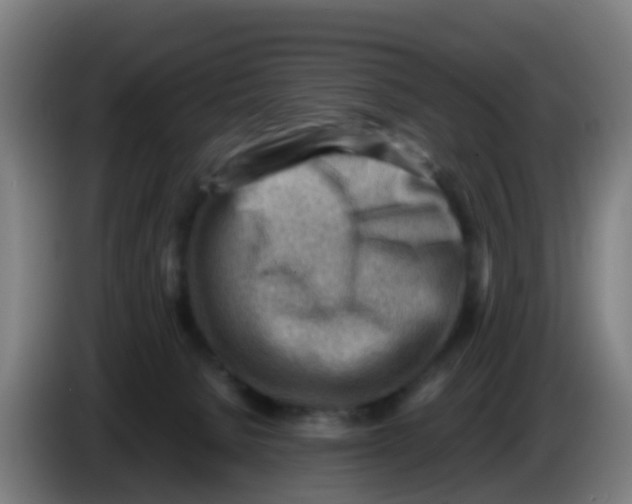 X0000086290080200704201931