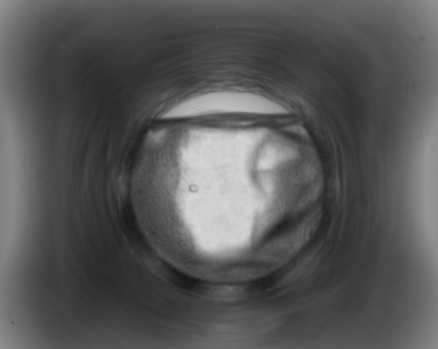 X0000086290081200704201931