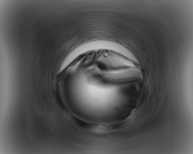 X0000086290082200704201931