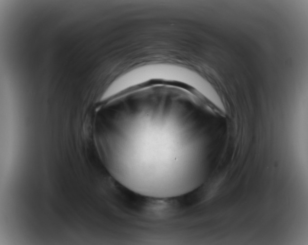 X0000086290083200704201931