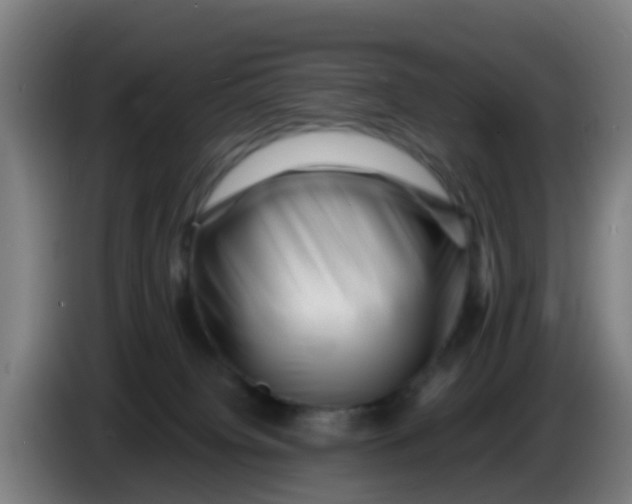 X0000086290084200704201931