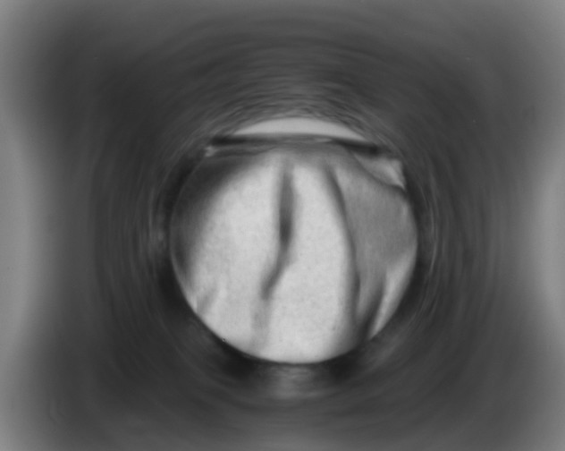 X0000086290085200704201931