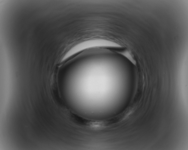 X0000086290088200704201931