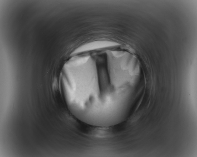 X0000086290089200704201931