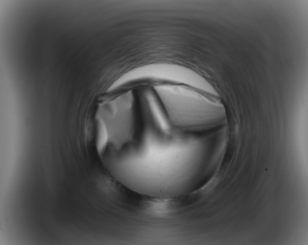 X0000086290090200704201931