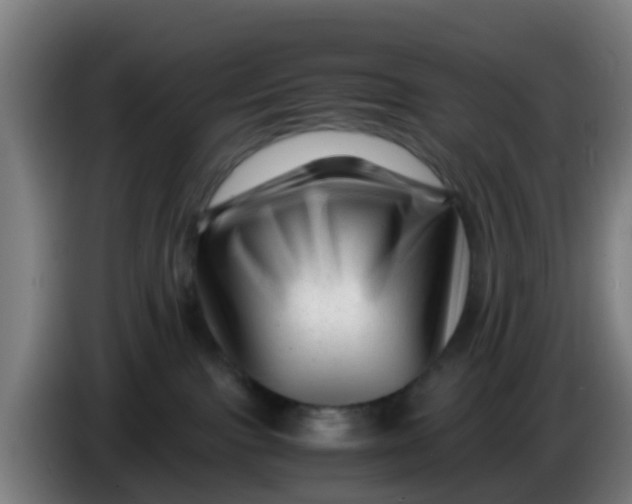 X0000086290091200704201931