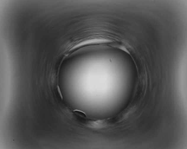 X0000086290092200704201931