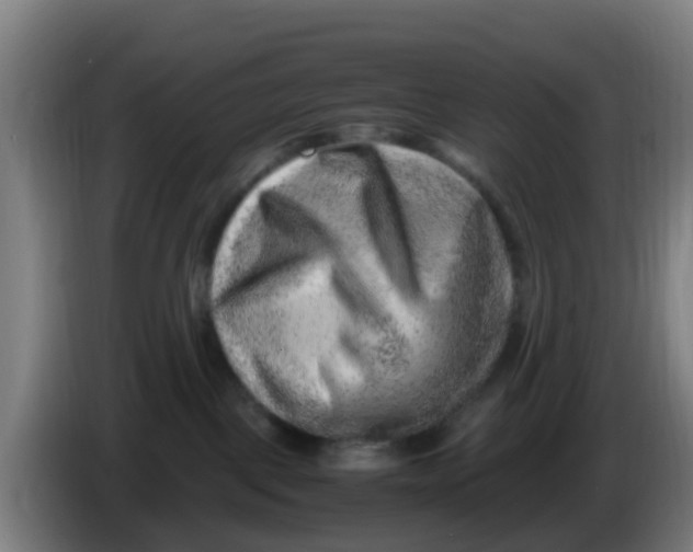 X0000086290093200704201931