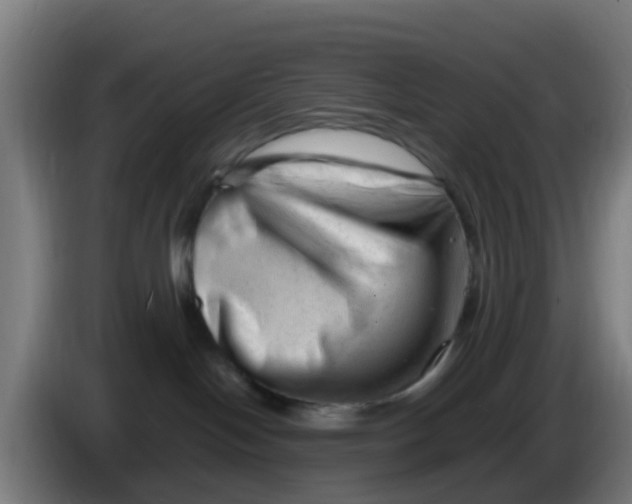 X0000086290094200704201931