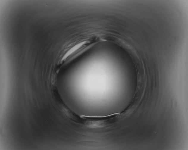 X0000086290096200704201931