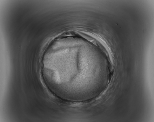 X0000086290097200704201931