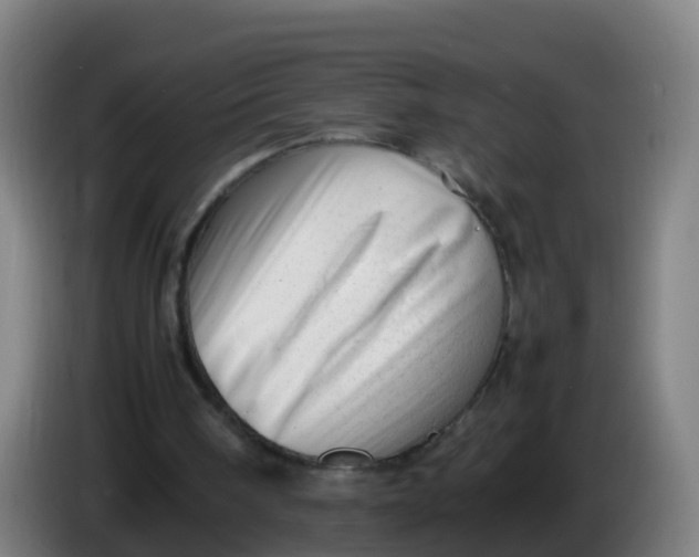 X0000086290098200704201931