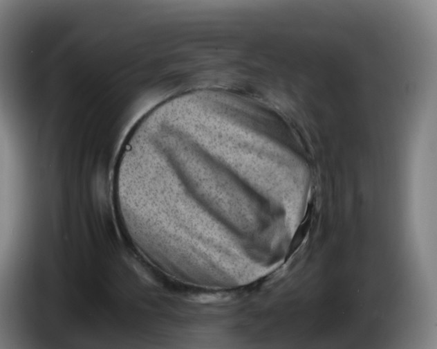 X0000086290100200704201931