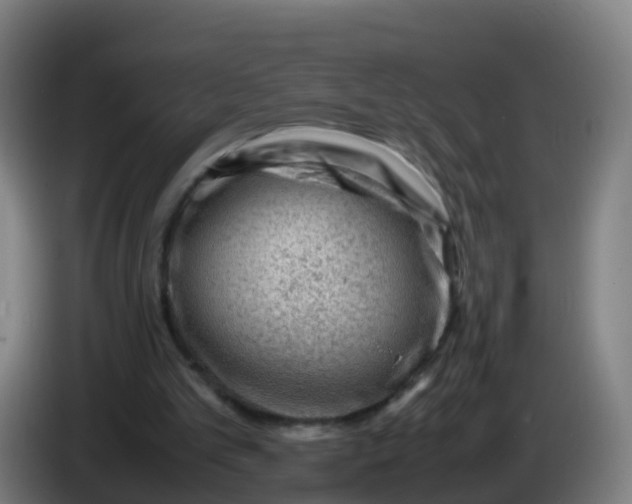 X0000086290101200704201931