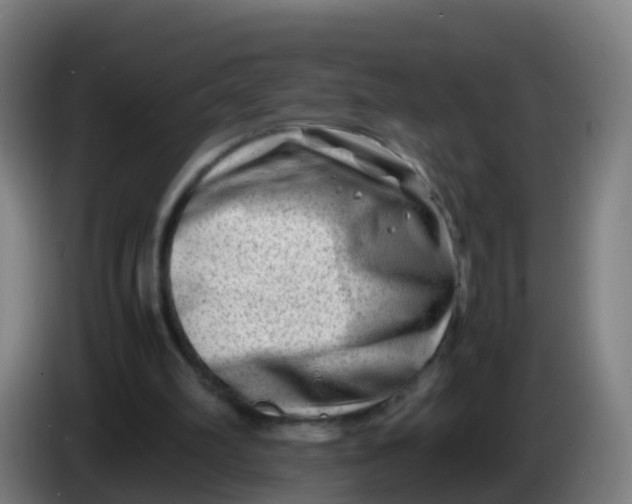 X0000086290102200704201931