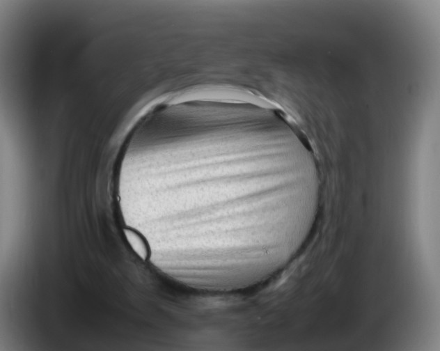 X0000086290103200704201931