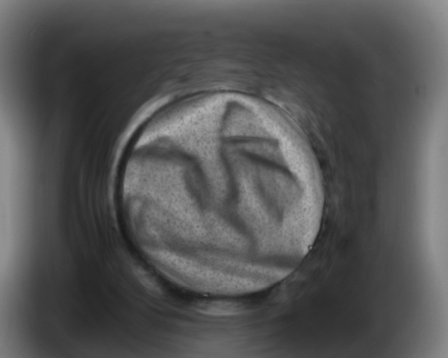 X0000086290104200704201931