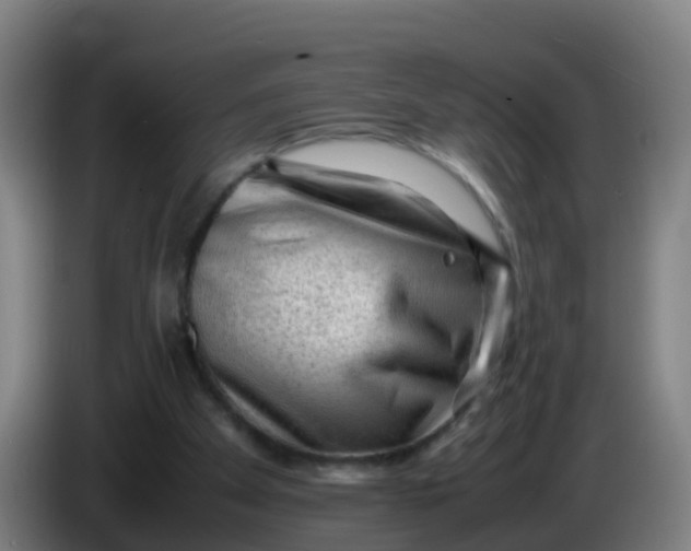 X0000086290105200704201931