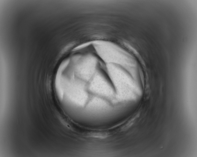 X0000086290106200704201931