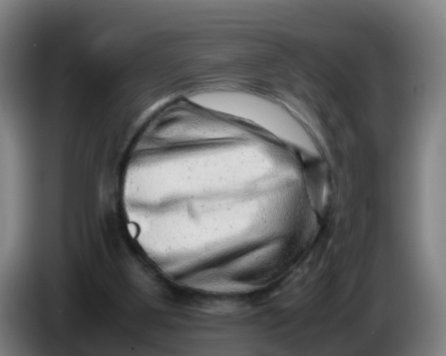 X0000086290107200704201931