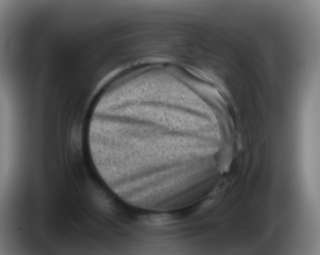 X0000086290108200704201931