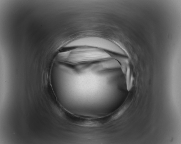 X0000086290109200704201931