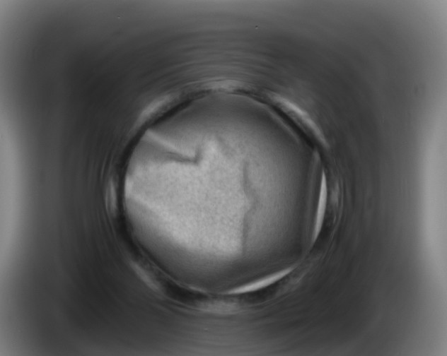 X0000086290110200704201931