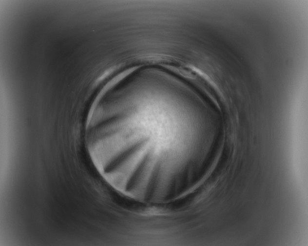 X0000086290111200704201930