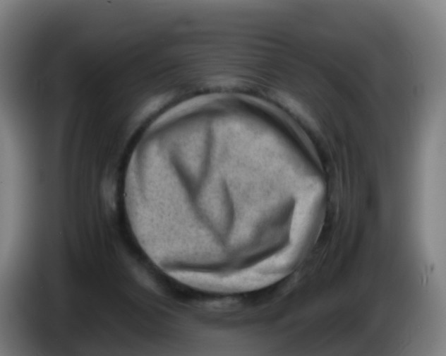 X0000086290112200704201930