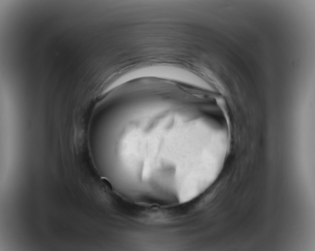 X0000086290113200704201930