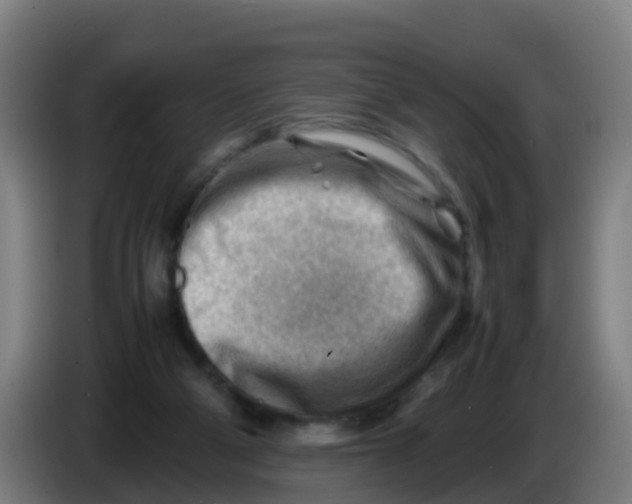 X0000086290114200704201930